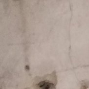 ����, 36 ���, ���������