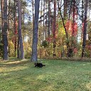 ���� �����, ������, 63 ���� - ��������� 16 ������� 2026 � ������ ������