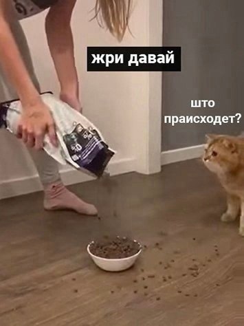 Cheers! |    - 26  2024  22:22 - 6