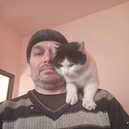 , 46, 