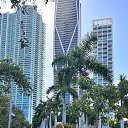 ���� Fortuna, ������ - ��������� 9 ������ 2024 � ������ ���� ����������
