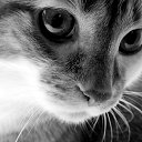 ���� Oleksandr, ���������, 18 ��� - ��������� 25 ������ 2026 � ������ ���� ����������