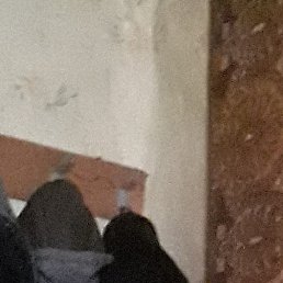 ����, ���������, 64 ����