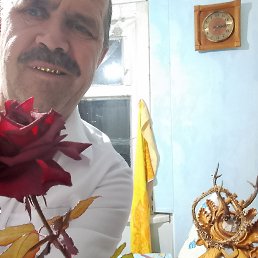 ���������, 65 ���, ����