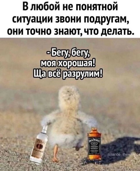 ☆ ☆ - 17  2023  14:08