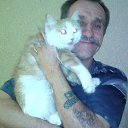 ���� ���� ������, �������, 62 ���� - ��������� 20 ��� 2025 � ������ ���� ����������