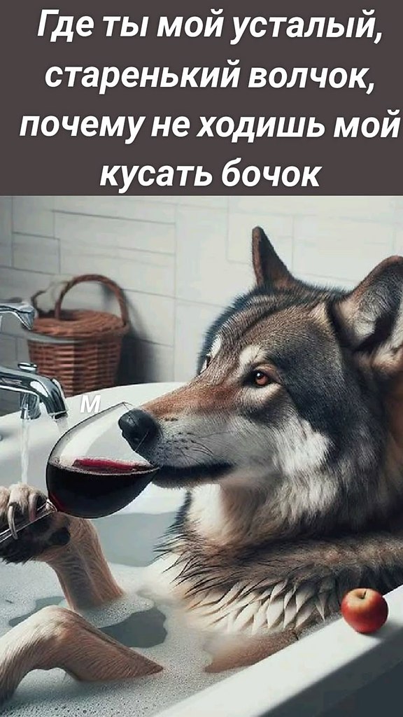  !)