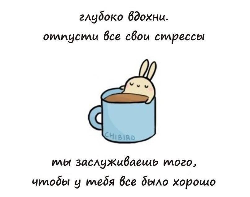  - 13  2025  07:33