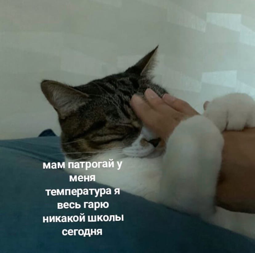    - 20  2024  20:23