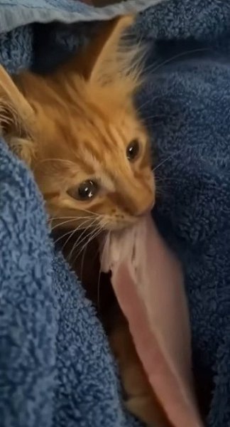 ����� ������ �� �����, �� ����� ������ ������� ���� - 2