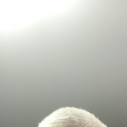 , 50, --