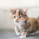 ���� )���������(, ��������� - ��������� 16 ������� 2023 � ������ ������ ��������