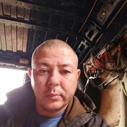 , 37, 