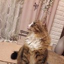 ���� �������, �����������, 53 ���� - ��������� 14 ������ 2025 � ������ ������ ��������