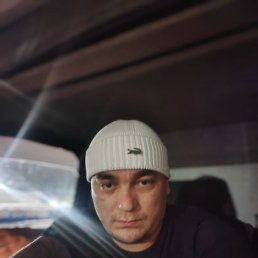 GERMAN, 33 ����, ������