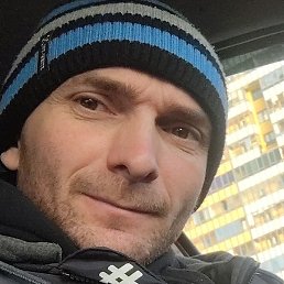 ����, �����-���������, 41 ���