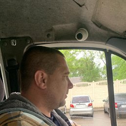 , 53, 