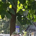 ���� ����������, �����-���������, 64 ���� - ��������� 5 ������ 2024 � ������ ���� ����������