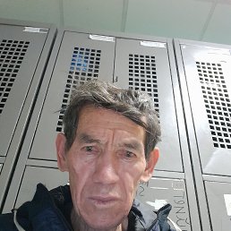 , 56, 
