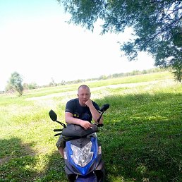 ���� ���������, �������, 31 ���