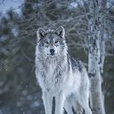 ���� ����, ������, 45 ��� - ��������� 12 ������� 2025 � ������ ���� ����������