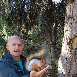 ������, 57 ���, ��������