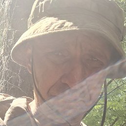 , 41, 