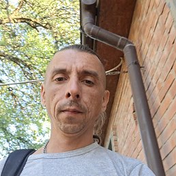 , 37, 