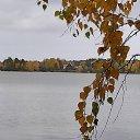 ���� ���������, ������ - ��������� 29 ������� 2025 � ������ ���� ����������