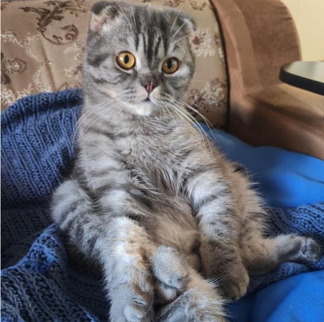 Gen Zemtsov - 13  2025  00:48