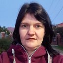 ���� ����, ��������, 43 ���� - ��������� 17 ������� 2025 � ������ ���� ����������