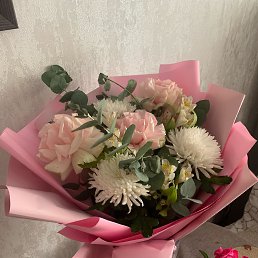 ���� ����, ������, 66 ��� - ��������� 27 ������� 2026