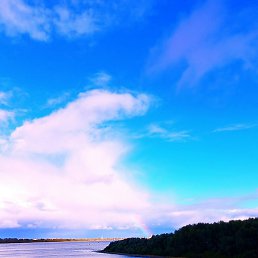 ������, �����, 47 ���