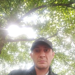  , 36 , 