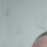 �������, 41 ���, ���������