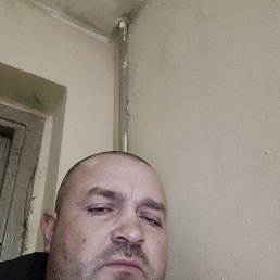 , 44, 