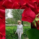 ���� ��������, �����������, 56 ��� - ��������� 30 ����� 2024