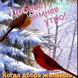 , , 46 