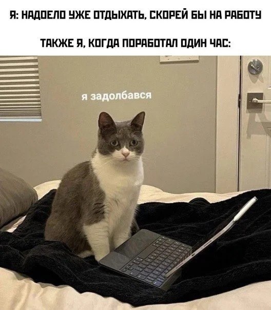  8-10    ,   , ,  ,   , ...