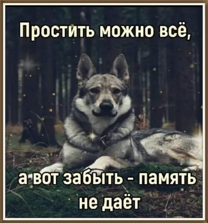 - 3  2025  19:53