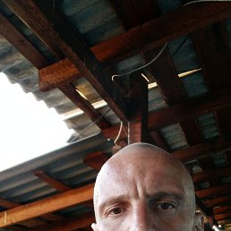 , 41, 