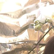 ��������, 58 ���, ������