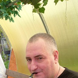 , 37, 