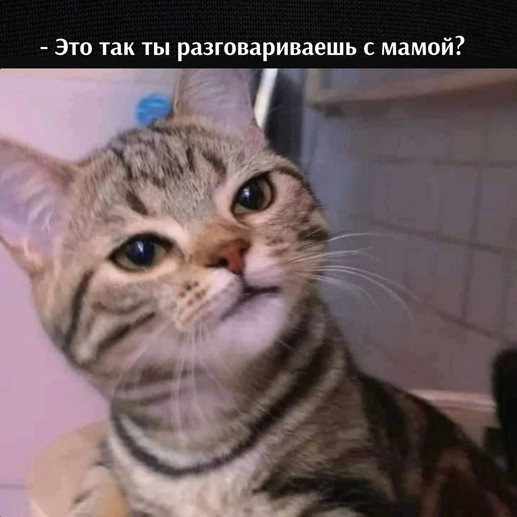 ��� ���� � ����� �� �� - 25 ������� 2026 � 16:00 - 3