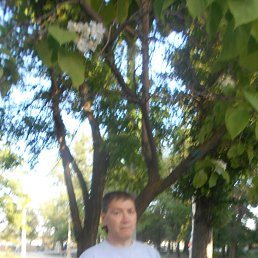 , 56 , 