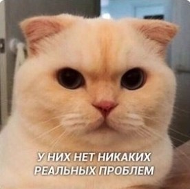 ��� ���� � ����� �� �� - 11 ������� 2025 � 13:03 - 2