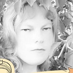 ��������, �����������, 38 ���