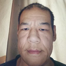 �����, ������, 41 ���