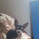 ���� ����, �����������, 53 ���� - ��������� 30 ������ 2024 � ������ ���� ����������