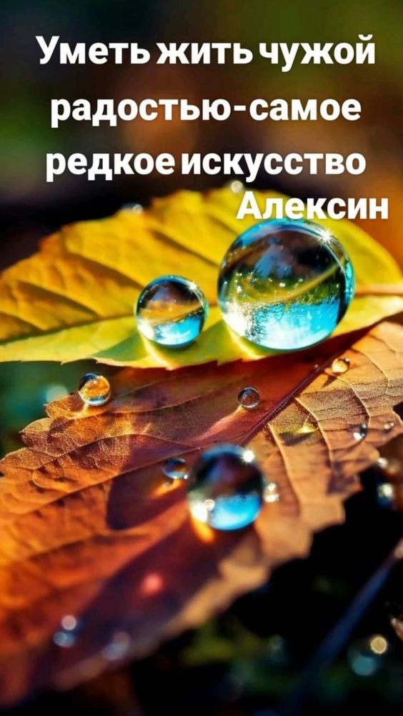 ₪╬═►  ||  ||  ◄═╬₪ - 6  2024  10:30